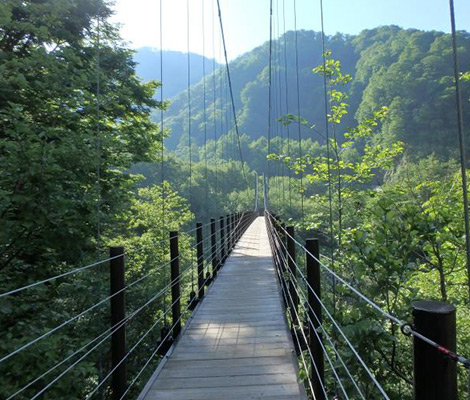 白山のおすすめコース画像