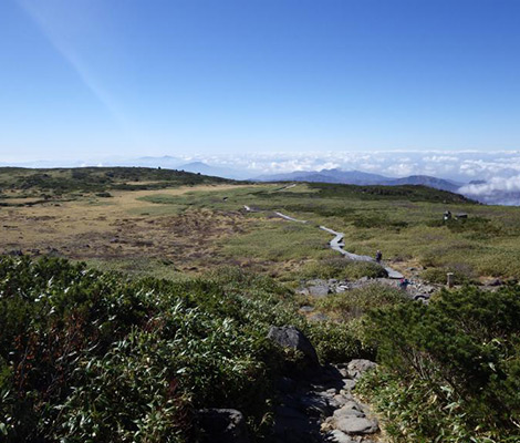 白山のおすすめコース画像