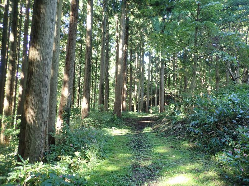 医王山のおすすめコース画像