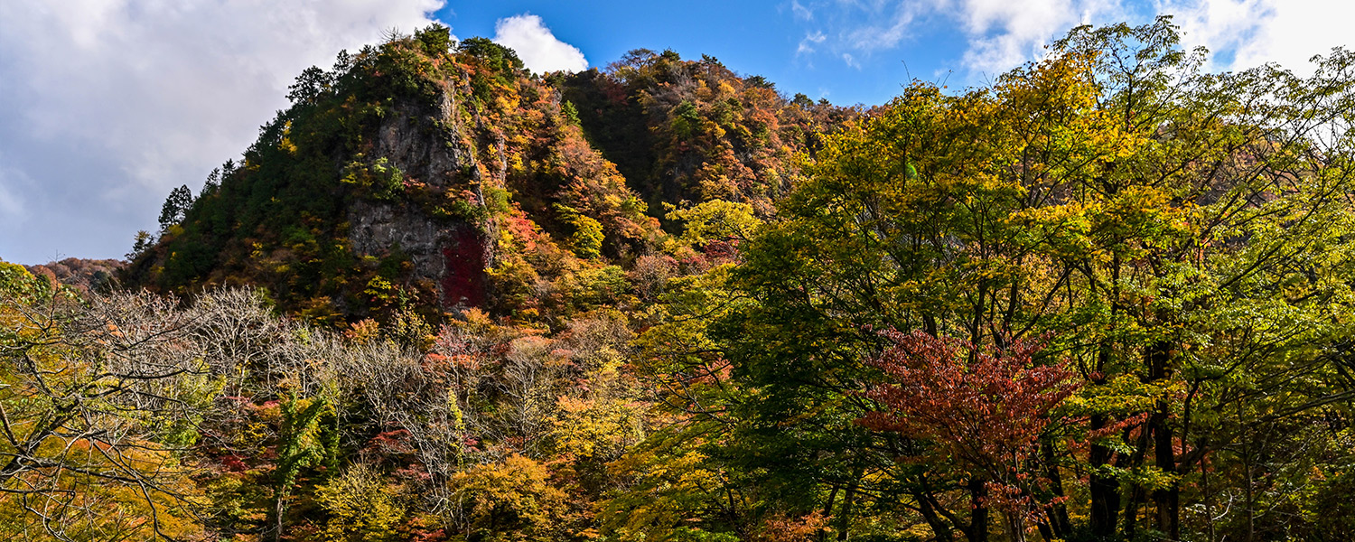 医王山