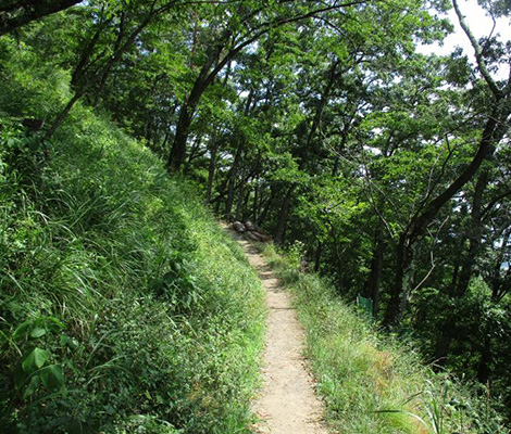 光城山のおすすめコース画像