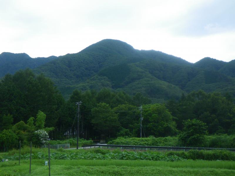 日向山のおすすめコース画像