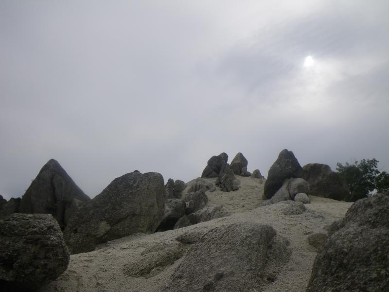 日向山のおすすめコース画像