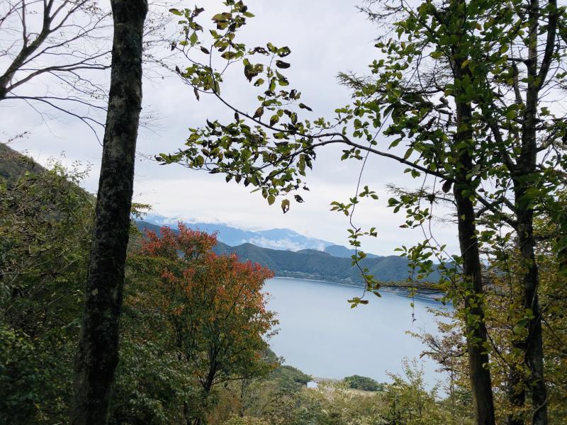 竜ヶ岳のおすすめコース画像