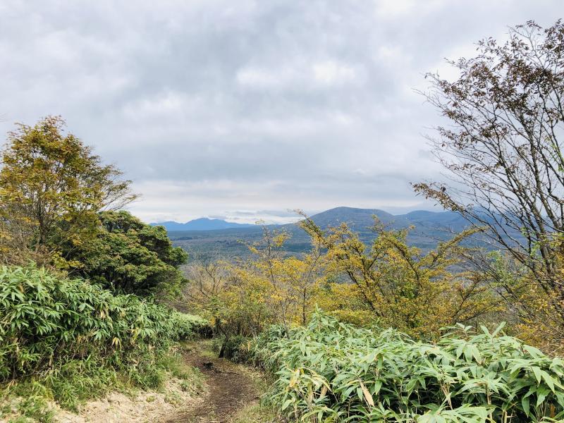 竜ヶ岳のおすすめコース画像