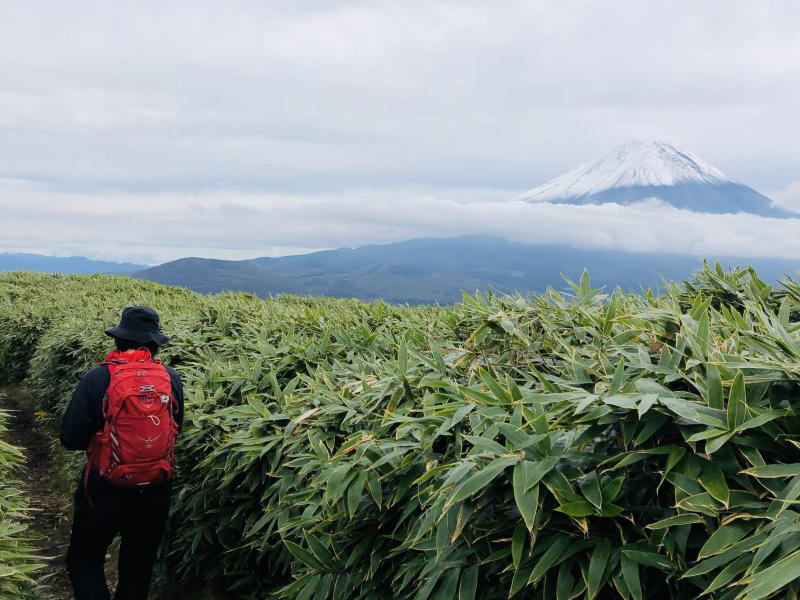 竜ヶ岳のおすすめコース画像