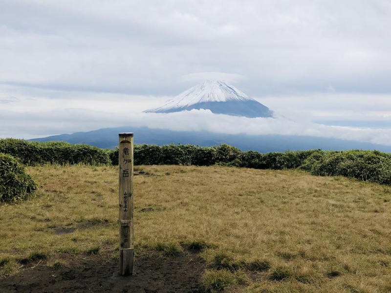 竜ヶ岳のおすすめコース画像