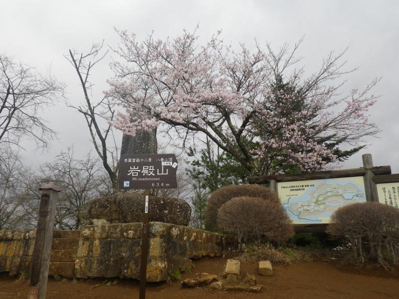 岩殿山のおすすめコース画像