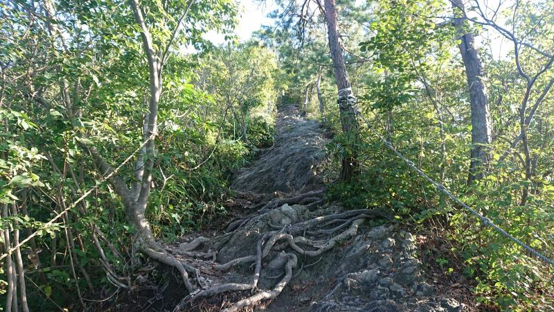 鞍掛山のおすすめコース画像