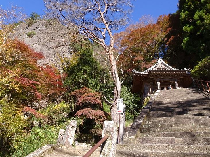 鳳来寺山のおすすめコース画像