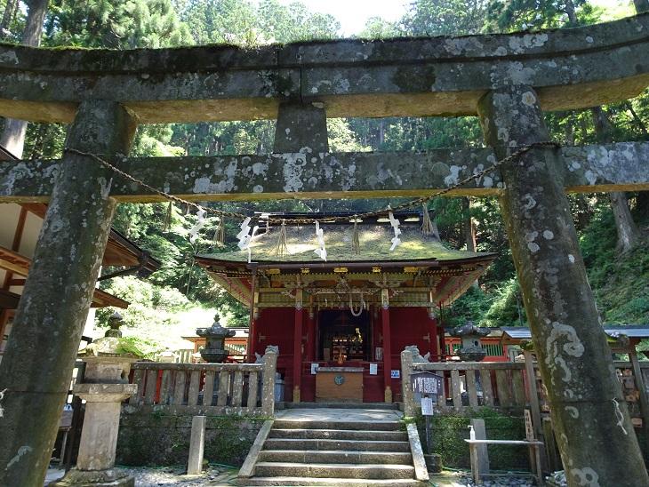 鳳来寺山のおすすめコース画像