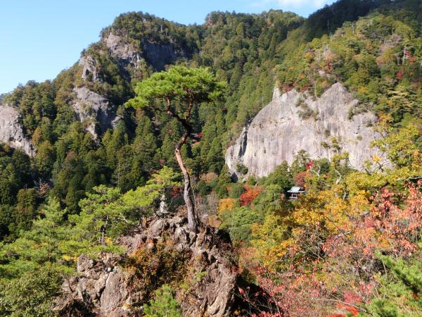 鳳来寺山のおすすめコース画像