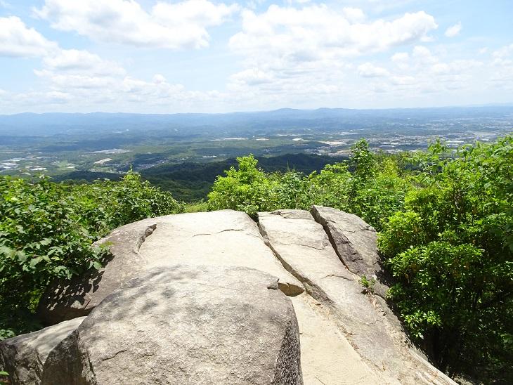 猿投山のおすすめコース画像