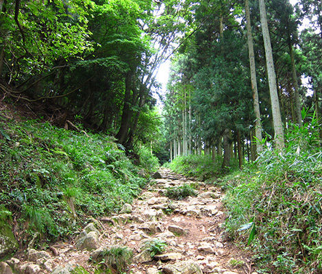 伊吹山のおすすめコース画像