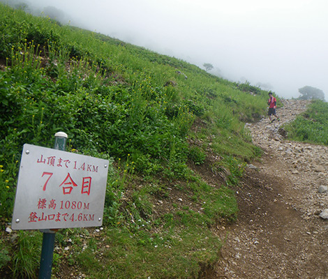 伊吹山のおすすめコース画像