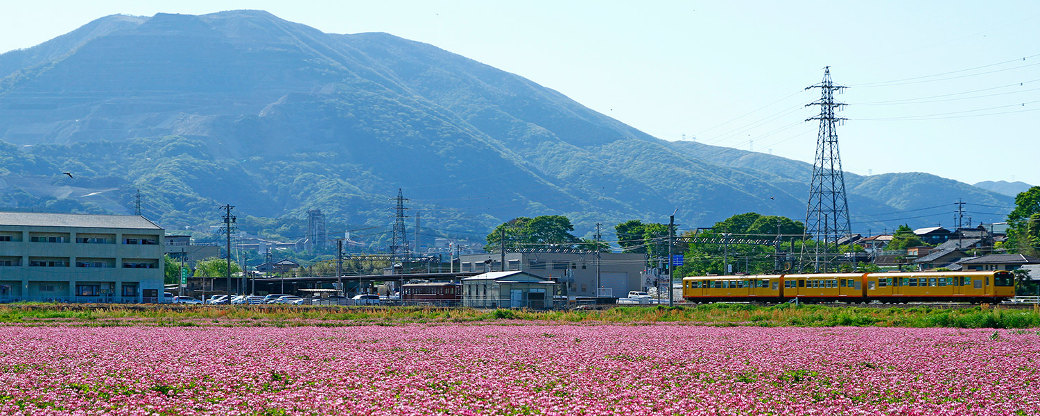 藤原岳