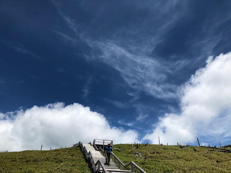 大台ケ原のおすすめコース画像