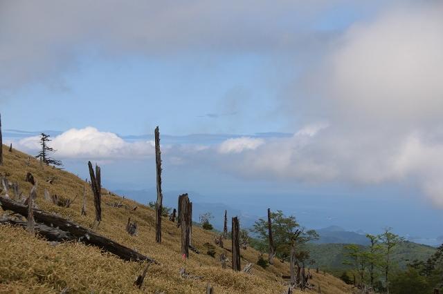 大台ケ原のおすすめコース画像