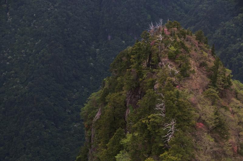 大台ケ原のおすすめコース画像