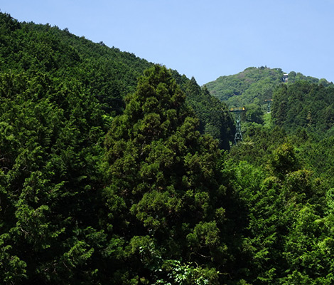 大和葛城山のおすすめコース画像