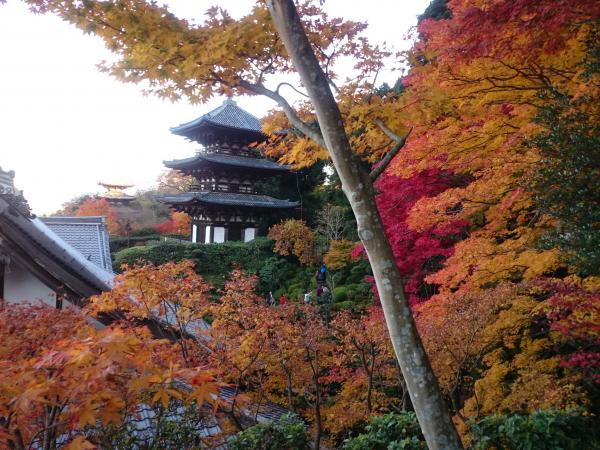 二上山のおすすめコース画像