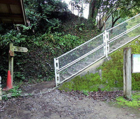 岩湧山のおすすめコース画像