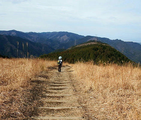 岩湧山のおすすめコース画像