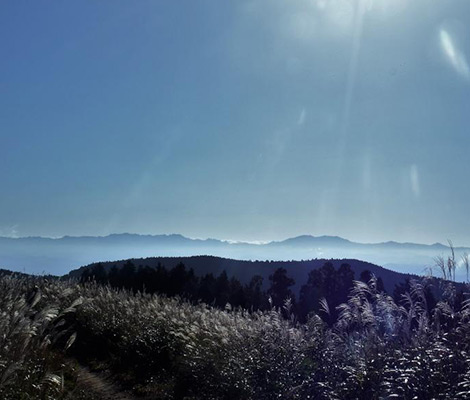 岩湧山のおすすめコース画像