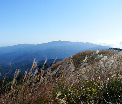 岩湧山のおすすめコース画像