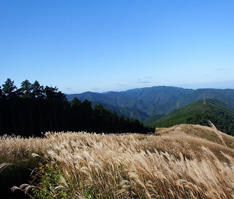 岩湧山のおすすめコース画像