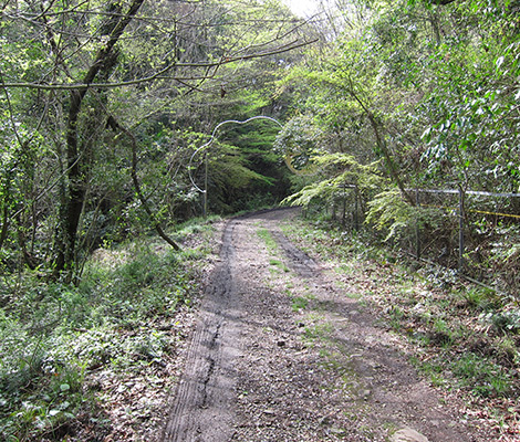 雲山峰のおすすめコース画像