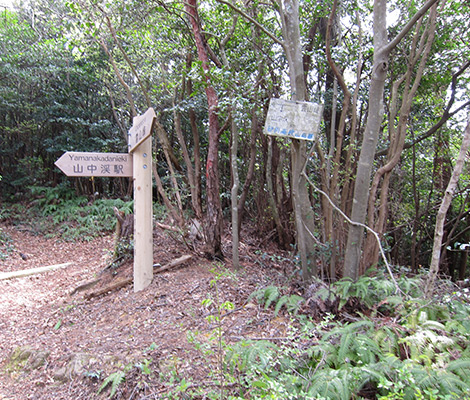 雲山峰のおすすめコース画像