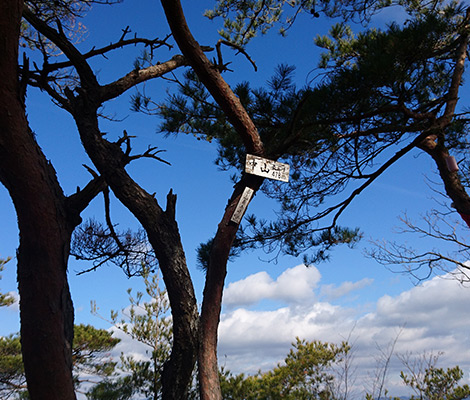 中山連山のおすすめコース画像