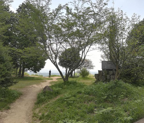 福山のおすすめコース画像