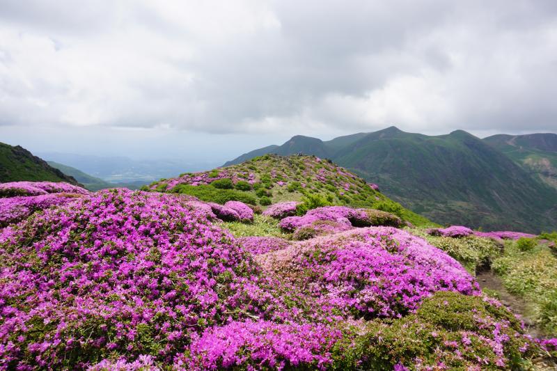 久住山のおすすめコース画像
