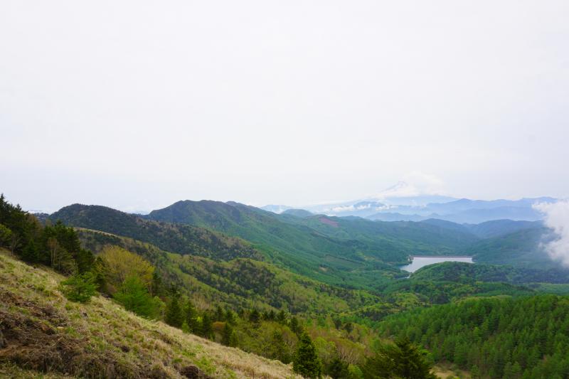 大菩薩嶺のおすすめコース画像