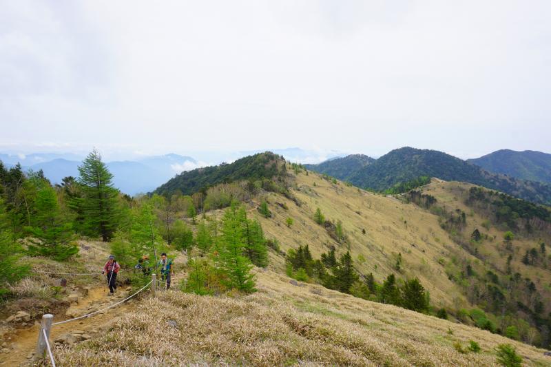 大菩薩嶺のおすすめコース画像