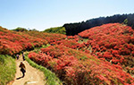 大和葛城山