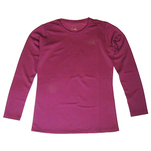 ノースフェイス L/S VOLTAGE CREW