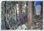 高尾の森づくりの会写真2