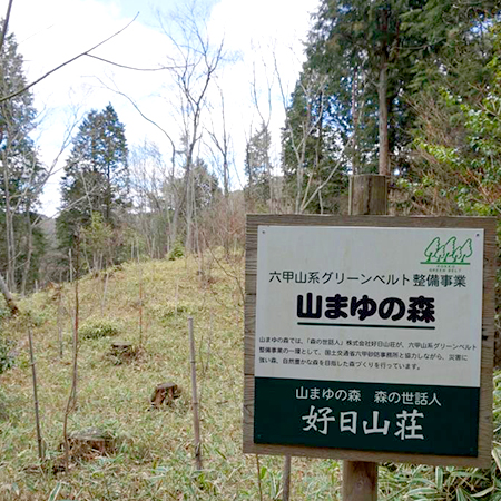 好日山荘エコプロジェクト　六甲山グリーンベルト事業 ～「山まゆの森」ボランティア～