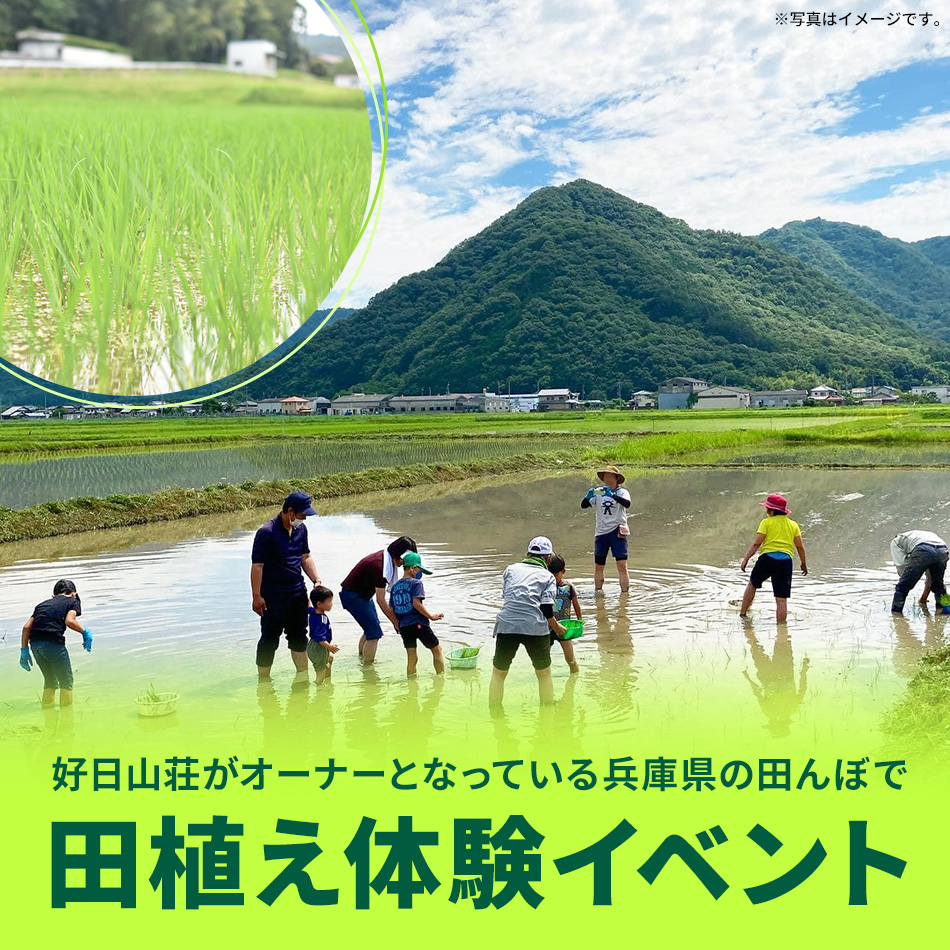 好日山荘がオーナーの田んぼで田植え体験イベント