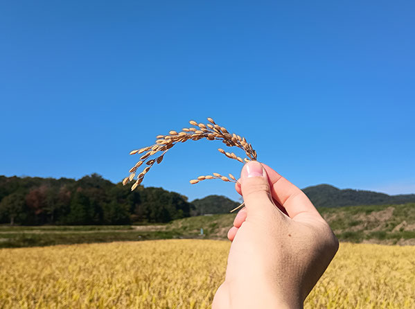 好日山荘の想い1