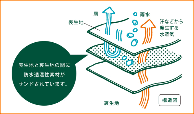 表生地と裏生地の間に防水透湿性素材がサンドされています。