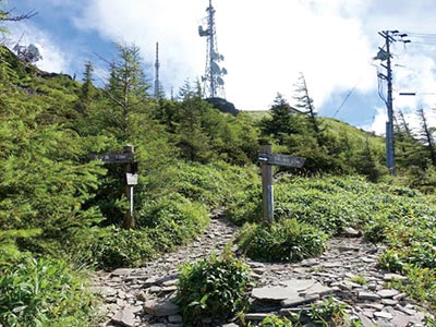 美ヶ原の鉄平石
