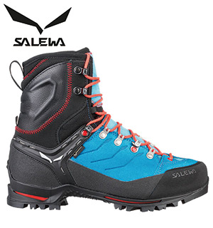 WS ヴァルチャー EVO GTX