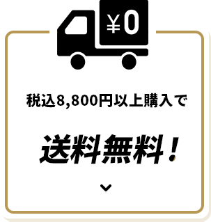 期間中、税込8,800円以上購入で全品送料無料!