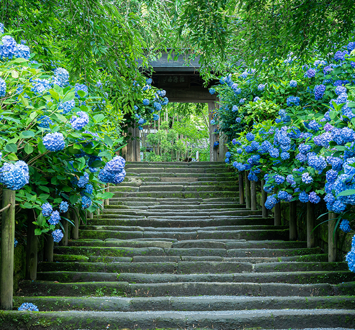 ウォーキング・ランニング