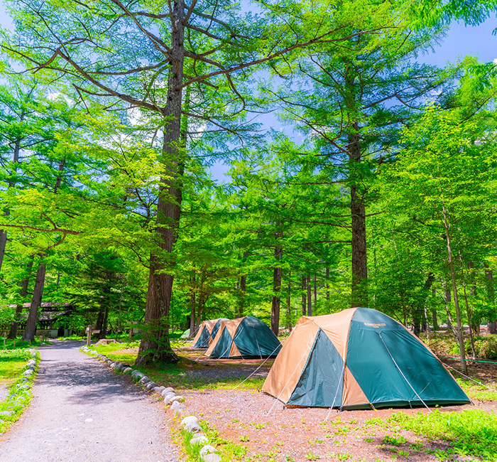 キャンプ