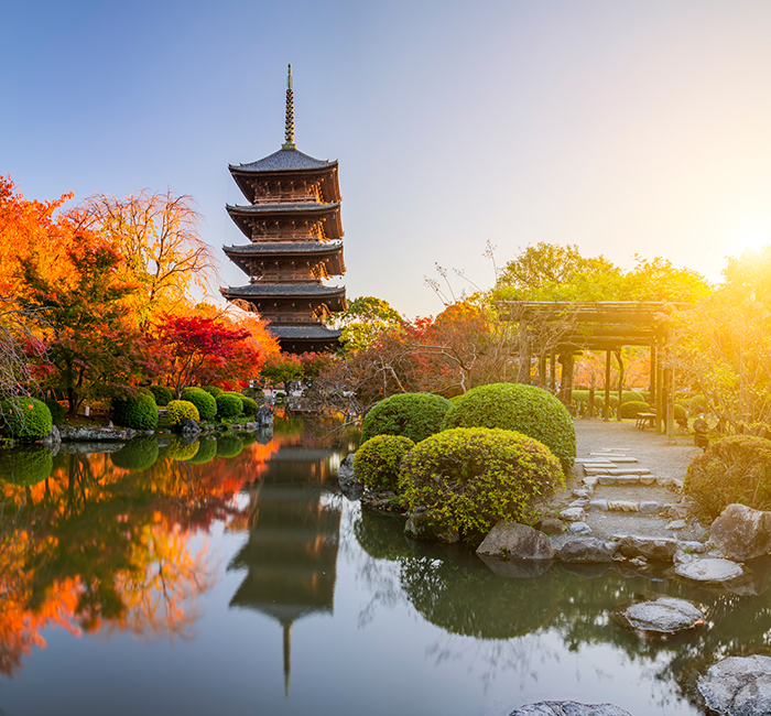 散策・ランニング